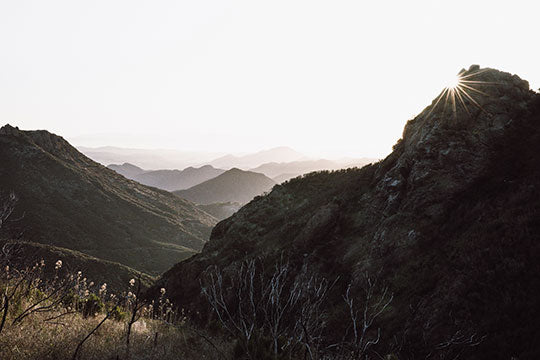 Important Updates Path Projects Business