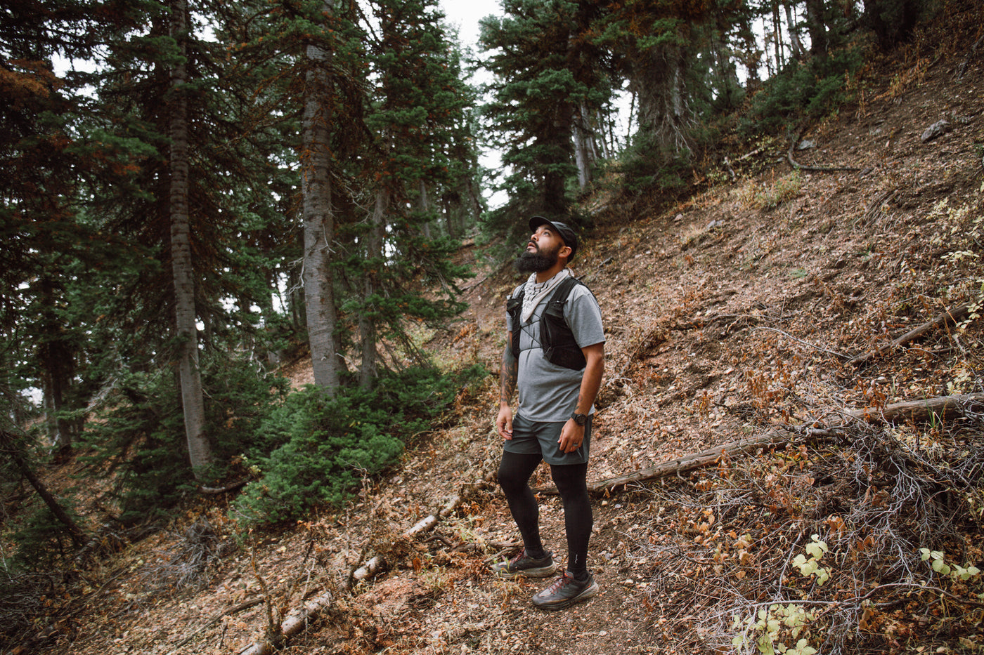 Trail Safety – Tips and Ticks For Staying Safe in the Wilderness