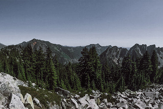 Come run and hike with us in Seattle on Sunday August 4th!