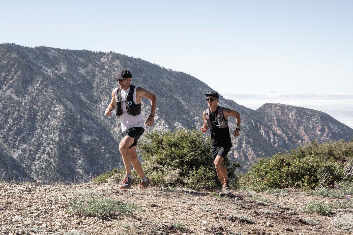 Updates on Shipping, Enhanced Safety Protocols, More Time to Return, etc.