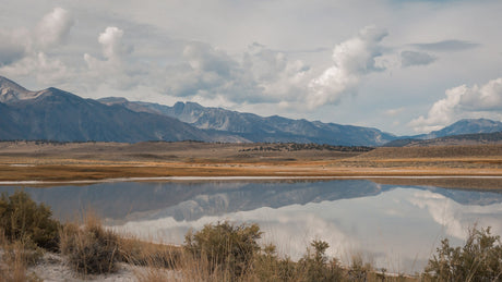 Join Our Crew At The Inaugural Mammoth 200!