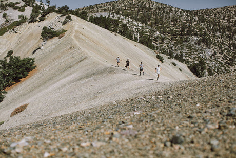 Mt Baldy Summit, Bear Canyon to Devils Backbone | Trail of the Week