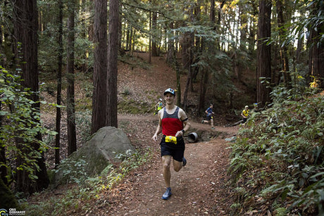 Trail Running in the Bay area: Huddart Park & Phleger Estate, Woodside